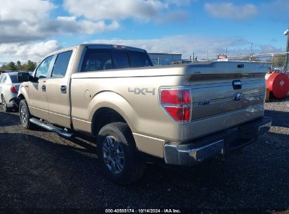 Lot #2996533519 2011 FORD F-150 XLT