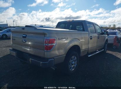 Lot #2996533519 2011 FORD F-150 XLT