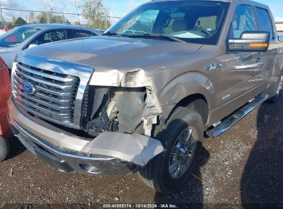 Lot #2996533519 2011 FORD F-150 XLT