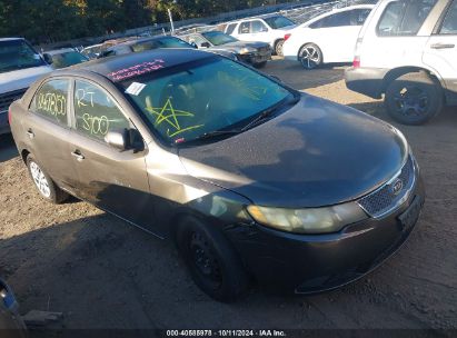 Lot #2995299496 2010 KIA FORTE EX