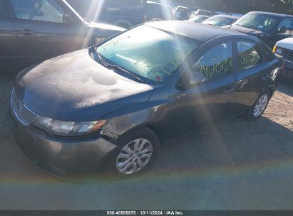 Lot #2995299496 2010 KIA FORTE EX