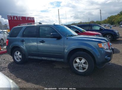 Lot #3035076180 2012 FORD ESCAPE XLT