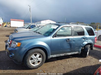 Lot #3035076180 2012 FORD ESCAPE XLT