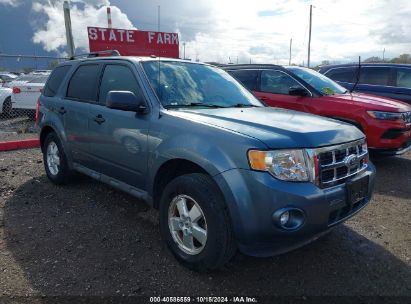 Lot #3035076180 2012 FORD ESCAPE XLT