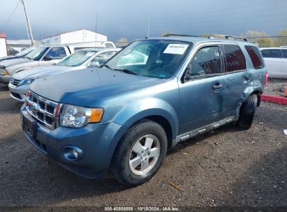 Lot #3035076180 2012 FORD ESCAPE XLT