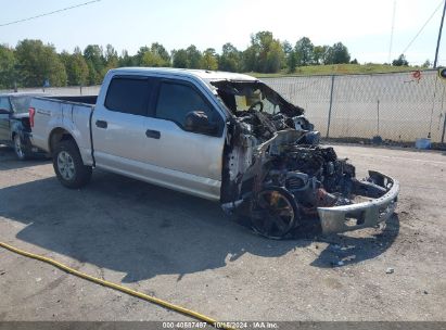 Lot #3018514266 2017 FORD F-150 XLT