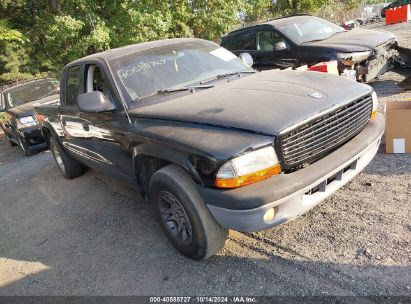 Lot #3028042433 2004 DODGE DAKOTA SLT