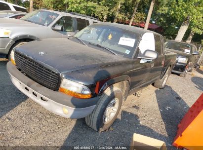 Lot #3028042433 2004 DODGE DAKOTA SLT