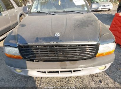 Lot #3028042433 2004 DODGE DAKOTA SLT