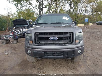 Lot #3006596253 2013 FORD F-150 FX4