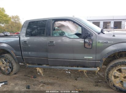 Lot #3006596253 2013 FORD F-150 FX4