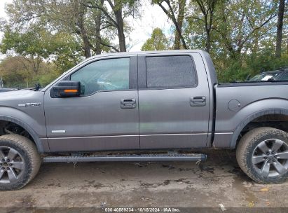 Lot #3006596253 2013 FORD F-150 FX4