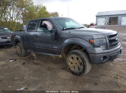 Lot #3006596253 2013 FORD F-150 FX4