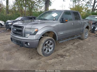 Lot #3006596253 2013 FORD F-150 FX4