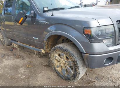 Lot #3006596253 2013 FORD F-150 FX4