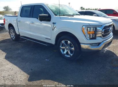 Lot #2992824080 2021 FORD F-150 XLT