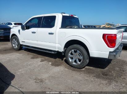 Lot #2992824080 2021 FORD F-150 XLT