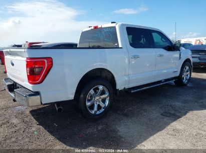 Lot #2992824080 2021 FORD F-150 XLT