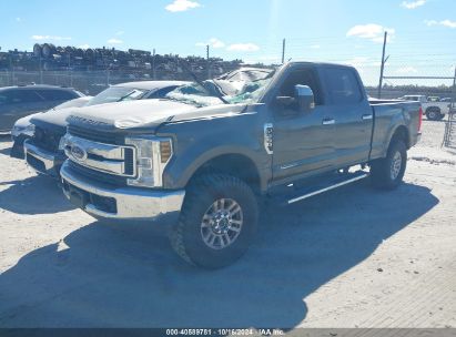 Lot #2992817234 2019 FORD F-250 XLT