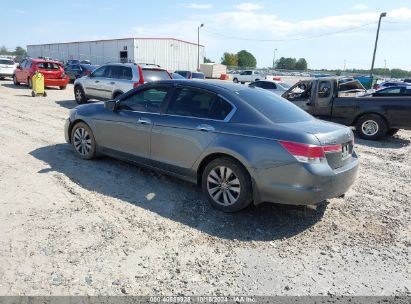 Lot #3002837195 2011 HONDA ACCORD 3.5 EX-L