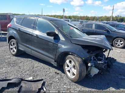 Lot #2992824052 2015 FORD ESCAPE SE