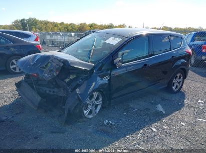 Lot #2992824052 2015 FORD ESCAPE SE