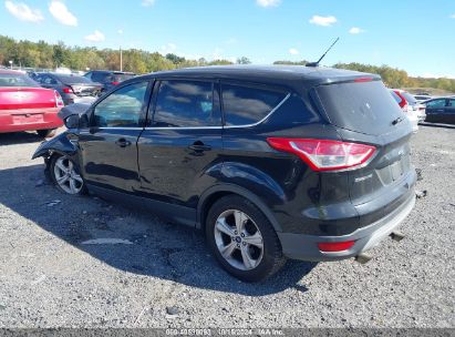 Lot #2992824052 2015 FORD ESCAPE SE