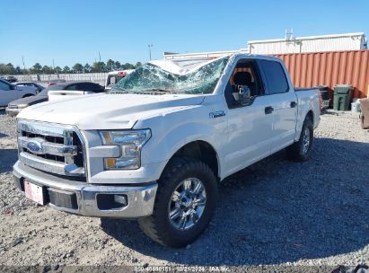 Lot #3046377771 2017 FORD F-150 XLT