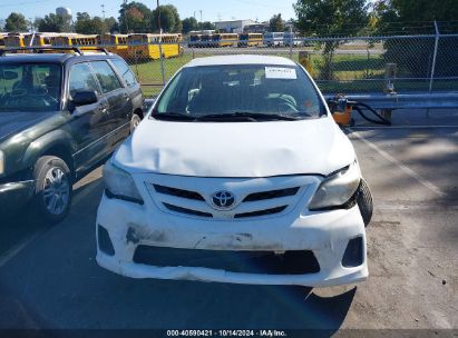 Lot #2996533481 2011 TOYOTA COROLLA LE