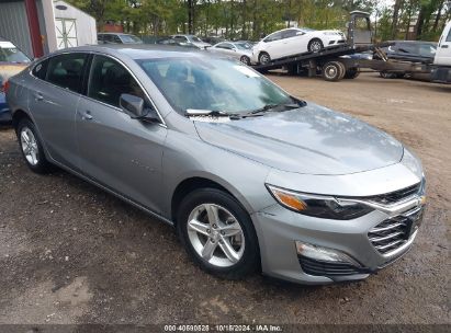 Lot #2996533476 2023 CHEVROLET MALIBU FWD 1FL