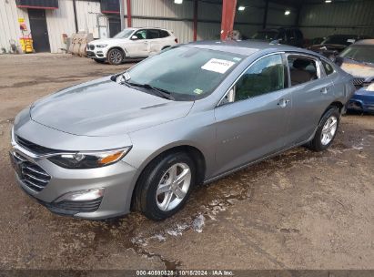 Lot #2996533476 2023 CHEVROLET MALIBU FWD 1FL