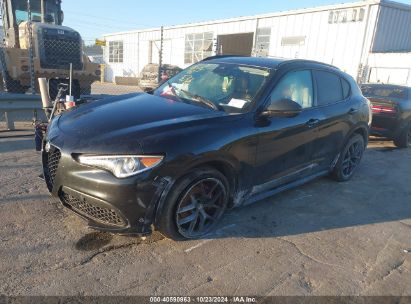 Lot #3050080785 2020 ALFA ROMEO STELVIO TI AWD