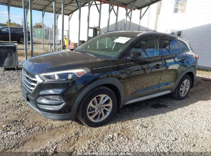 Lot #2992824006 2017 HYUNDAI TUCSON SE