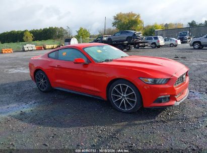 Lot #2996533446 2016 FORD MUSTANG ECOBOOST