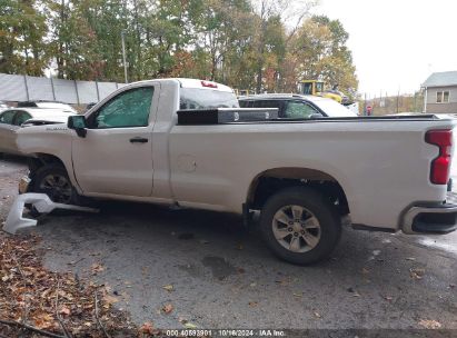 Lot #3047412095 2022 CHEVROLET SILVERADO 1500 WORK TRUCK