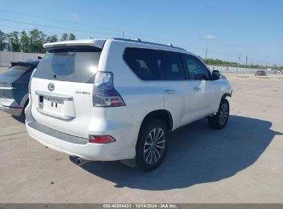 Lot #2992833771 2023 LEXUS 460 LUXURY