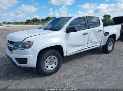 Lot #3035075993 2019 CHEVROLET COLORADO WT