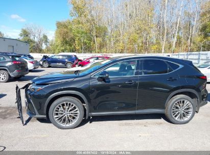 Lot #2992833767 2022 LEXUS NX 350H LUXURY