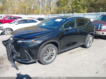 Lot #2992833767 2022 LEXUS NX 350H LUXURY