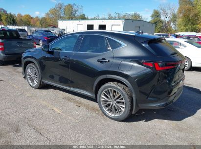 Lot #2992833767 2022 LEXUS NX 350H LUXURY