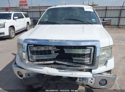 Lot #3035086319 2013 FORD F-150 XLT