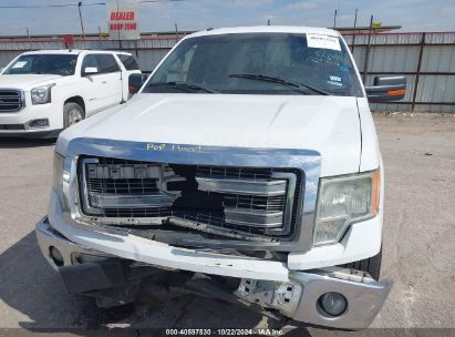 Lot #3035086319 2013 FORD F-150 XLT