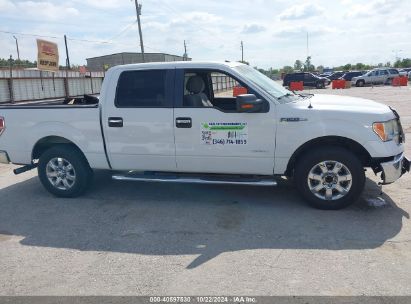 Lot #3035086319 2013 FORD F-150 XLT