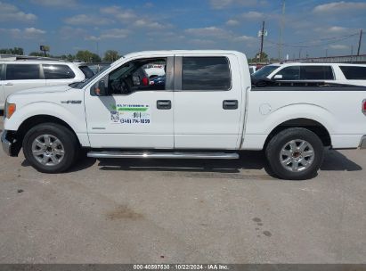 Lot #3035086319 2013 FORD F-150 XLT