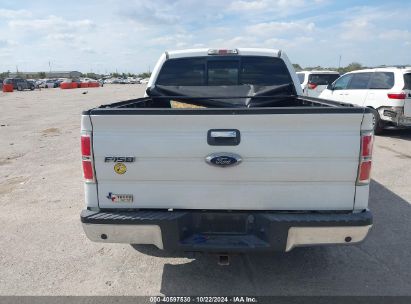 Lot #3035086319 2013 FORD F-150 XLT