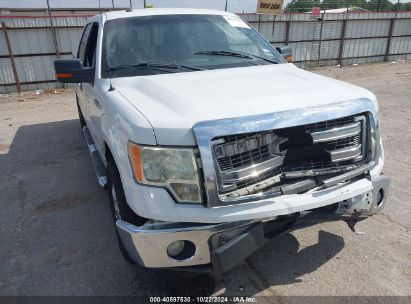 Lot #3035086319 2013 FORD F-150 XLT