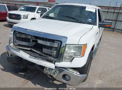 Lot #3035086319 2013 FORD F-150 XLT