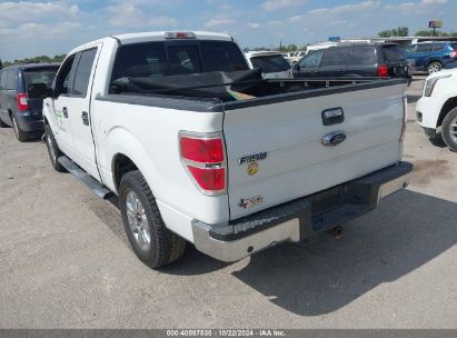 Lot #3035086319 2013 FORD F-150 XLT