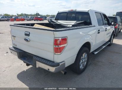 Lot #3035086319 2013 FORD F-150 XLT