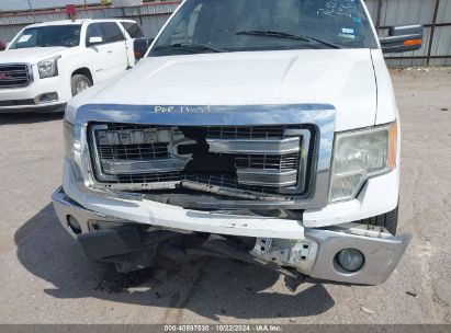 Lot #3035086319 2013 FORD F-150 XLT